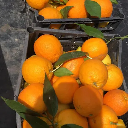 Nyaraló Casa Lina - Rifugio Nella Natura Per 2,Vicino Pantalica Sortino